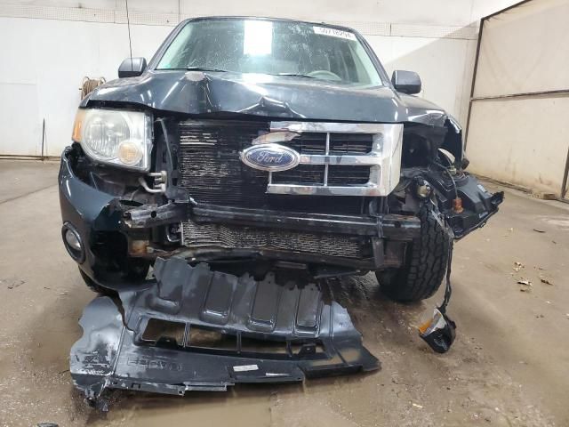 2008 Ford Escape XLT