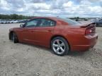 2013 Dodge Charger R/T