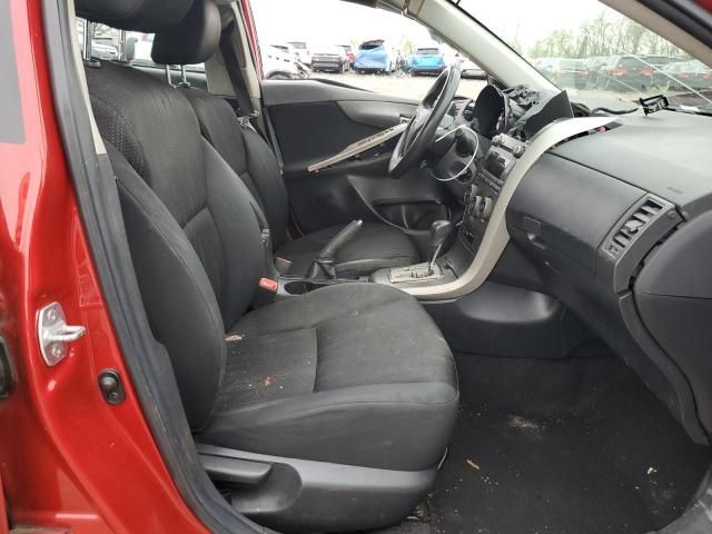 2011 Toyota Corolla Base