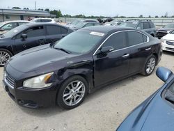 Salvage cars for sale from Copart Harleyville, SC: 2010 Nissan Maxima S