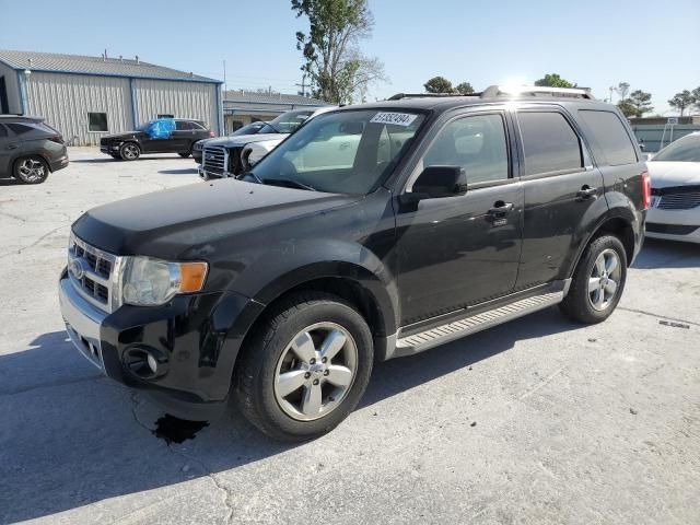 2010 Ford Escape Limited