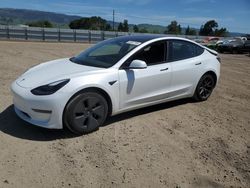 Vehiculos salvage en venta de Copart San Martin, CA: 2021 Tesla Model 3