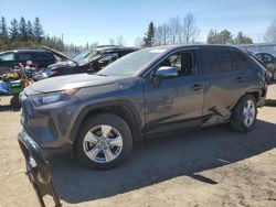 Salvage cars for sale from Copart Bowmanville, ON: 2023 Toyota Rav4 LE