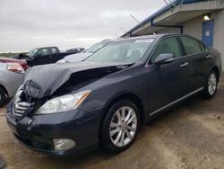 Salvage cars for sale from Copart Memphis, TN: 2011 Lexus ES 350