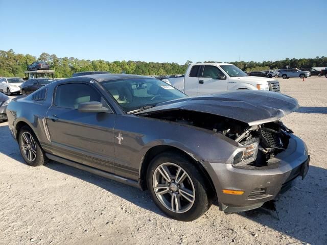 2010 Ford Mustang