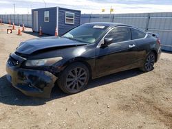Salvage cars for sale at Greenwood, NE auction: 2010 Honda Accord EXL
