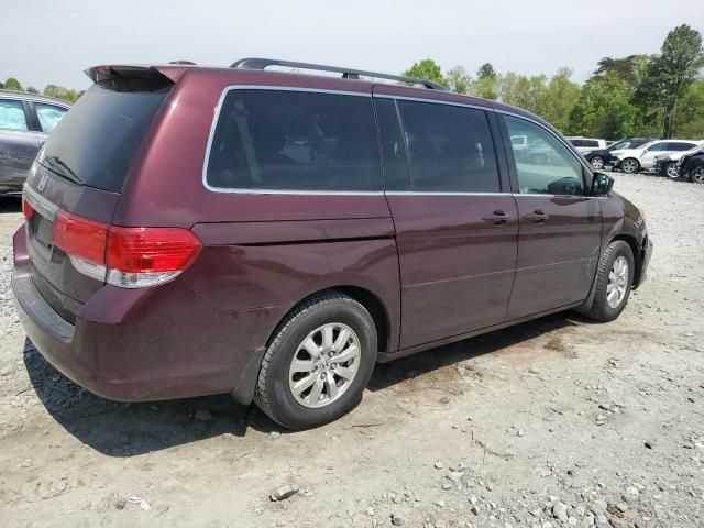 2008 Honda Odyssey EXL