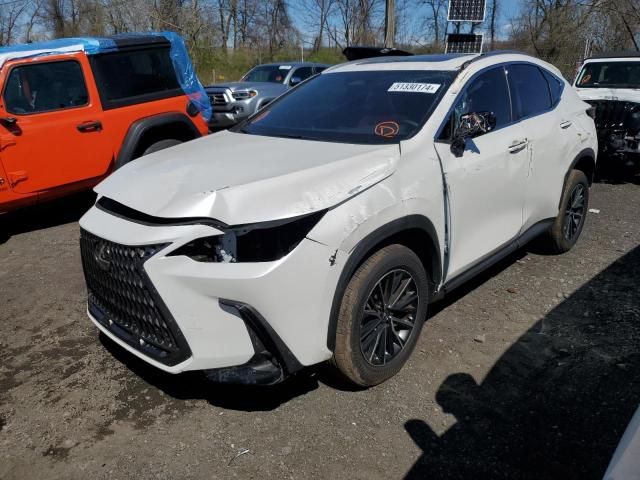 2024 Lexus NX 350 Base