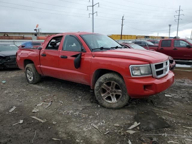 2011 Dodge Dakota SLT