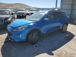 Salvage cars for sale at Albuquerque, NM auction: 2021 Ford Escape SEL