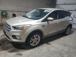 2017 Ford Escape SE for sale in Blaine, MN