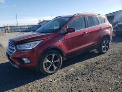 Ford salvage cars for sale: 2017 Ford Escape SE