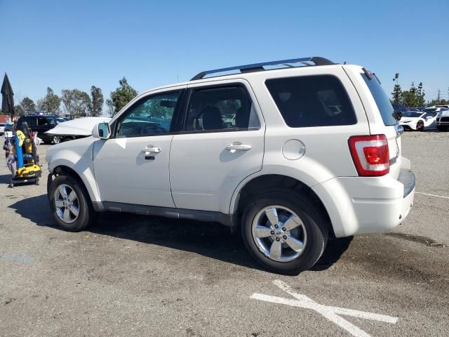 2009 Ford Escape Limited