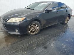 Salvage cars for sale from Copart Opa Locka, FL: 2013 Lexus ES 350