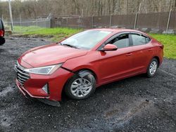 Salvage cars for sale from Copart Finksburg, MD: 2019 Hyundai Elantra SE