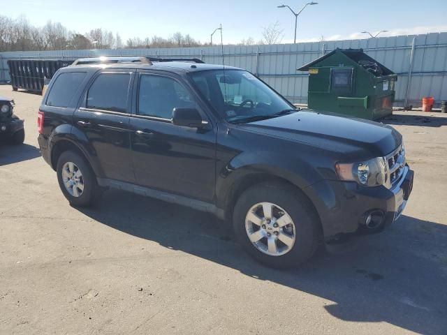 2010 Ford Escape Limited