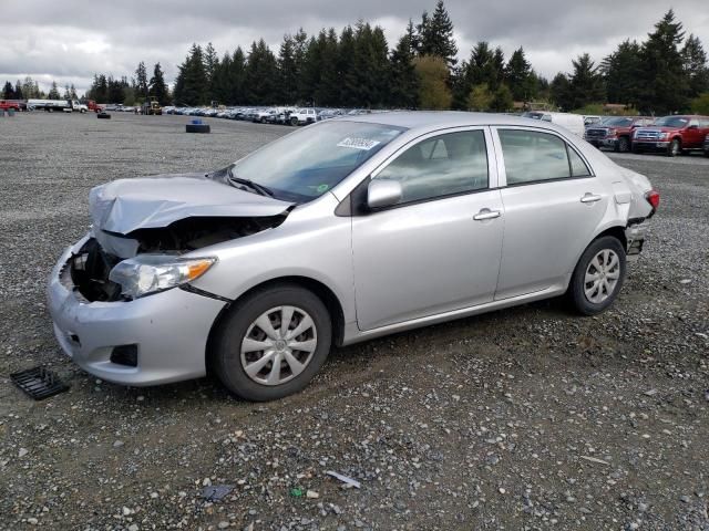 2009 Toyota Corolla Base