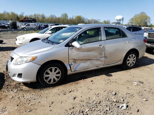 2010 Toyota Corolla Base