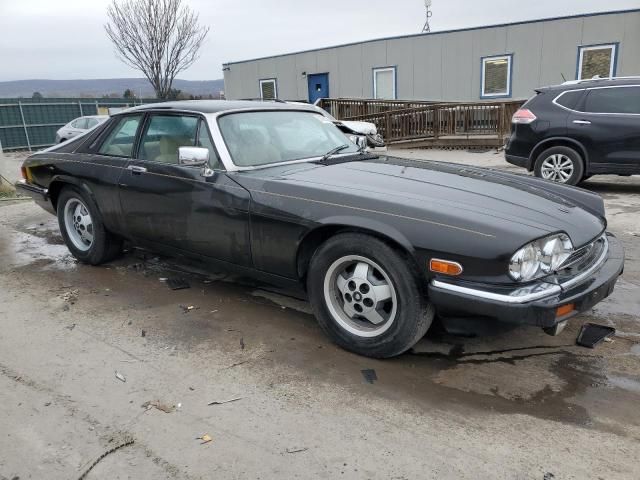 1983 Jaguar XJS