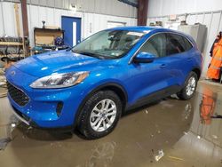 Flood-damaged cars for sale at auction: 2020 Ford Escape SE