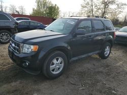 Carros salvage a la venta en subasta: 2011 Ford Escape XLT