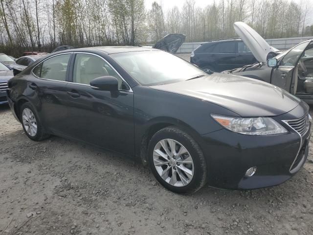 2013 Lexus ES 300H