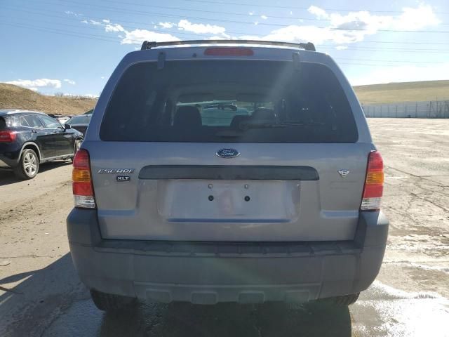 2007 Ford Escape XLT