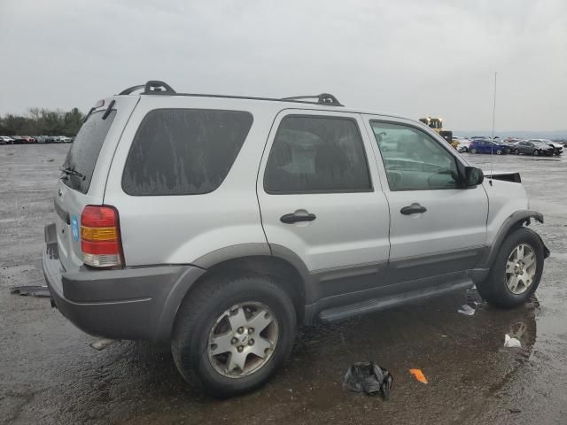 2004 Ford Escape XLT