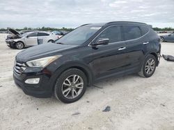 Salvage cars for sale at Arcadia, FL auction: 2014 Hyundai Santa FE Sport