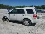 2010 Ford Escape XLS