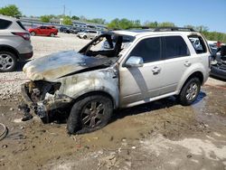 Salvage cars for sale at Louisville, KY auction: 2009 Mercury Mariner
