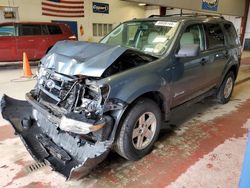 Salvage cars for sale at Angola, NY auction: 2012 Ford Escape Hybrid