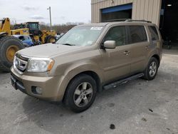 Salvage cars for sale from Copart Glassboro, NJ: 2010 Honda Pilot EX