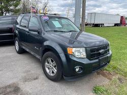 Ford Escape Hybrid salvage cars for sale: 2009 Ford Escape Hybrid