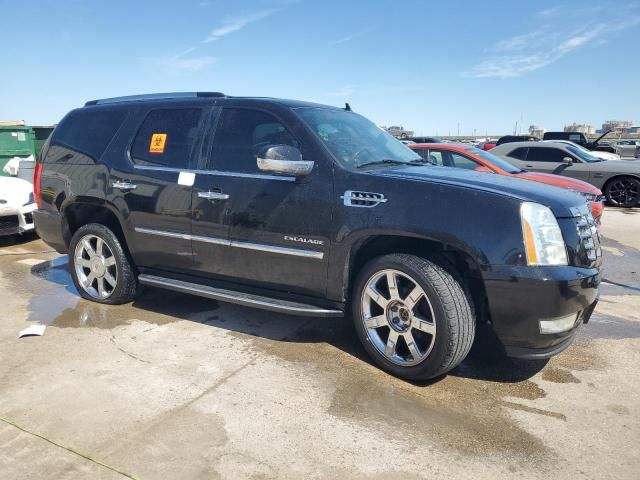 2012 Cadillac Escalade Luxury