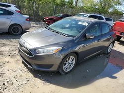 Salvage cars for sale at Cicero, IN auction: 2016 Ford Focus SE