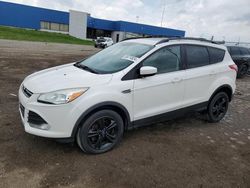 Ford Escape SE salvage cars for sale: 2013 Ford Escape SE