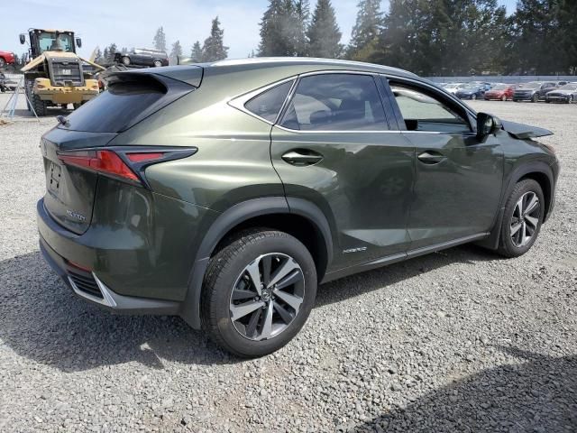 2021 Lexus NX 300H Base