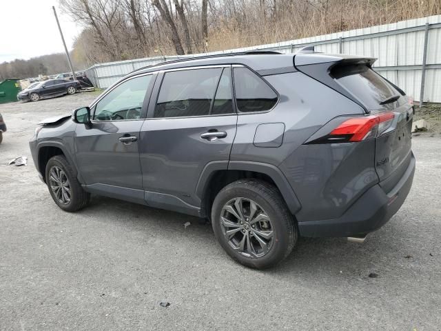 2024 Toyota Rav4 XLE Premium