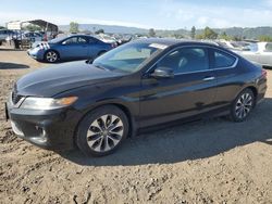 Vehiculos salvage en venta de Copart San Martin, CA: 2013 Honda Accord EX