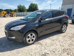 Ford salvage cars for sale: 2014 Ford Escape SE