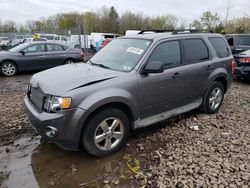 Salvage cars for sale from Copart Chalfont, PA: 2010 Ford Escape XLT