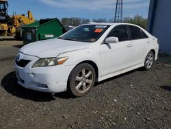 Salvage cars for sale from Copart Windsor, NJ: 2009 Toyota Camry SE