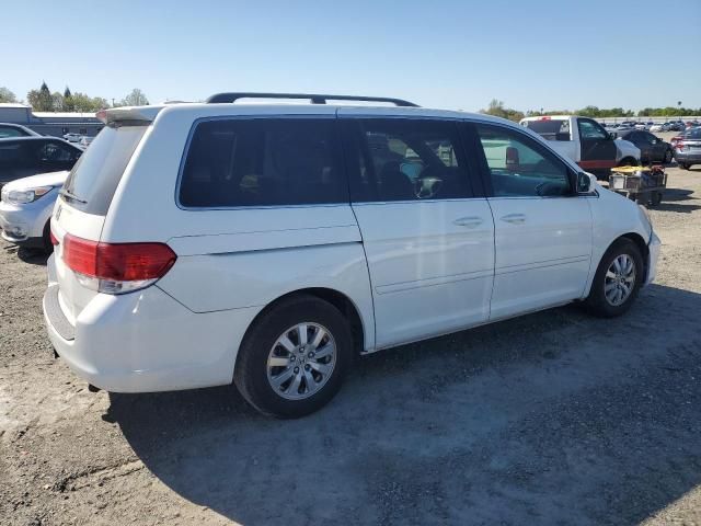 2010 Honda Odyssey EXL