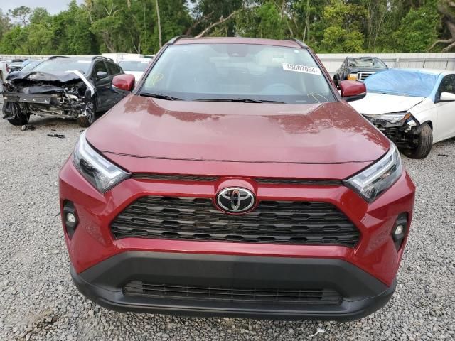 2023 Toyota Rav4 XLE Premium