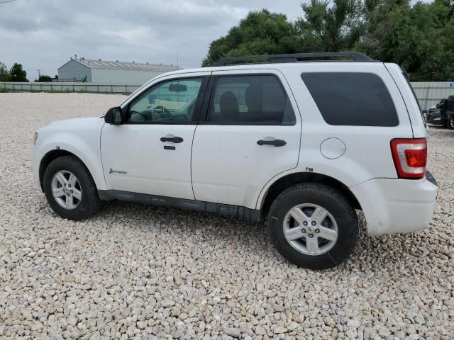 2011 Ford Escape Hybrid