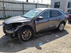 Salvage cars for sale from Copart Los Angeles, CA: 2022 Ford Escape SE