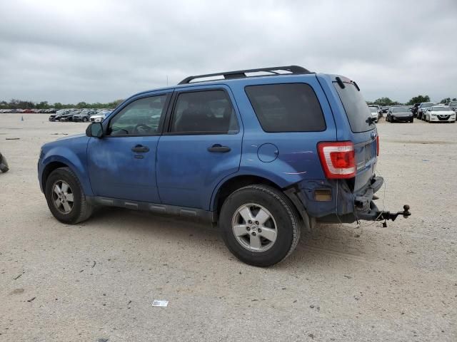 2009 Ford Escape XLT