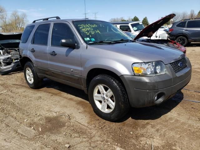 2007 Ford Escape HEV