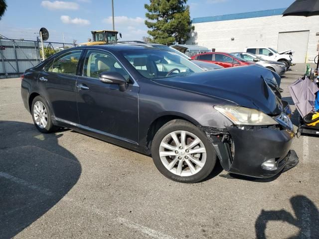 2010 Lexus ES 350